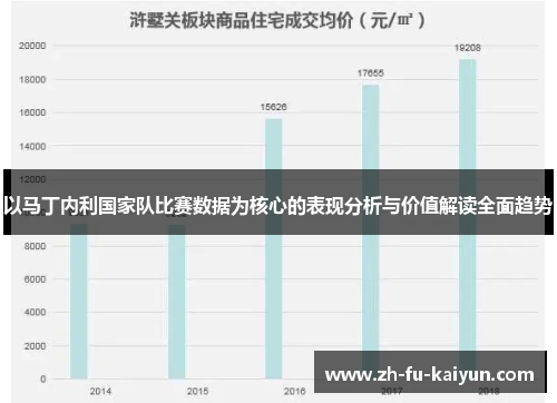 以马丁内利国家队比赛数据为核心的表现分析与价值解读全面趋势